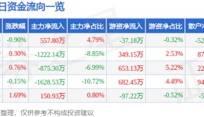 股票行情快报：深圳能源（000027）12月4日主力资金净买入557.80万元
