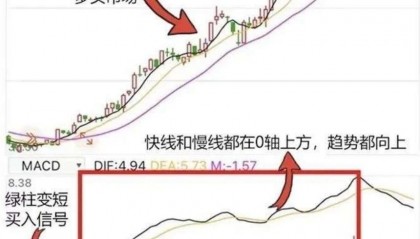 炒币常见问题(炒币常见问题有哪些)