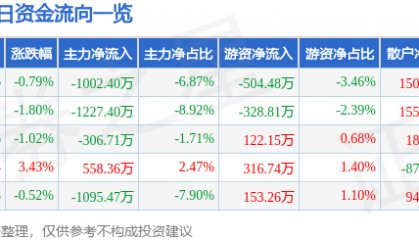 股票行情快报：双鹭药业（002038）9月4日主力资金净卖出1002.40万元