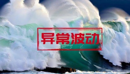 浙江东日股票交易异常波动，市盈率远高同行