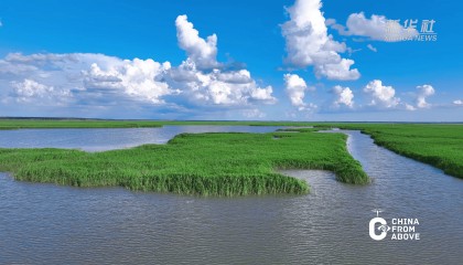 瞰中国｜一汪湿地绿 千重生态诗