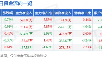 股票行情快报：深圳能源（000027）12月20日主力资金净买入528.86万元