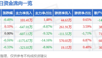 股票行情快报：深圳能源（000027）2月5日主力资金净买入101.41万元