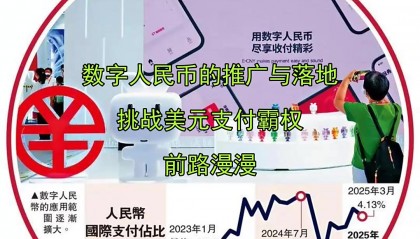 币圈路漫漫(易次元仙路漫漫下载)