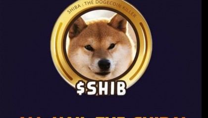 柴犬币最新(柴犬币最新动向)