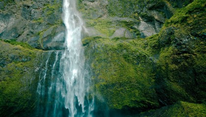 什么是记名股票？特点与优势解析