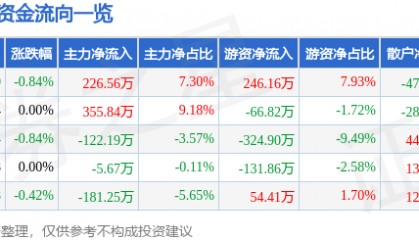 股票行情快报：安居宝（300155）10月16日主力资金净买入226.56万元
