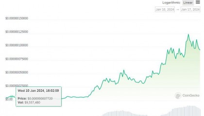 千倍币(千倍币的特征)