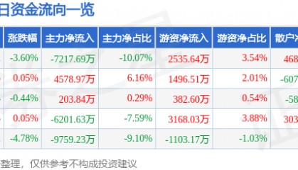 股票行情快报：东材科技（601208）10月10日主力资金净卖出7217.69万元