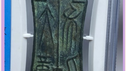 千倍币(千倍币有哪些)