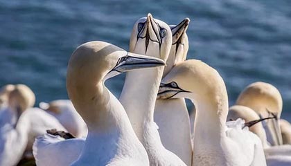 每周股票复盘：浙江东日（600113）股东户数增55.85%