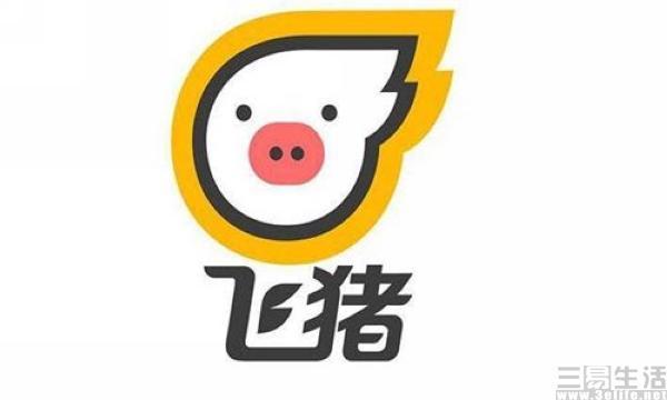 飞猪说币(飞猪可靠不)