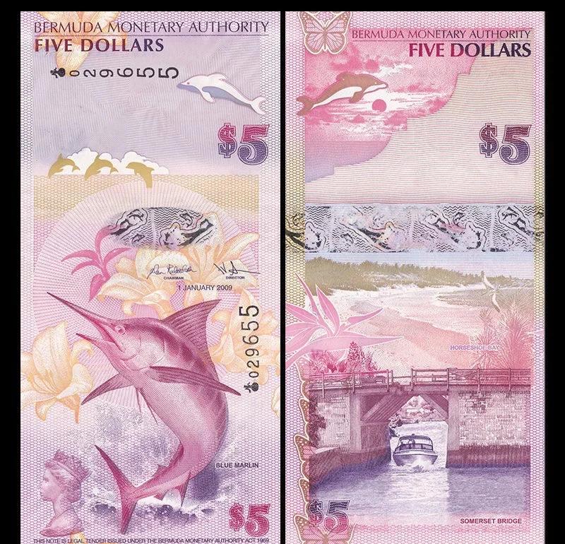 蓝币(蓝雨骨科双男主免费阅读笔趣阁)