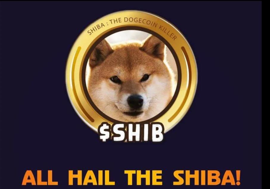 柴犬币最新(柴犬币最新动向)