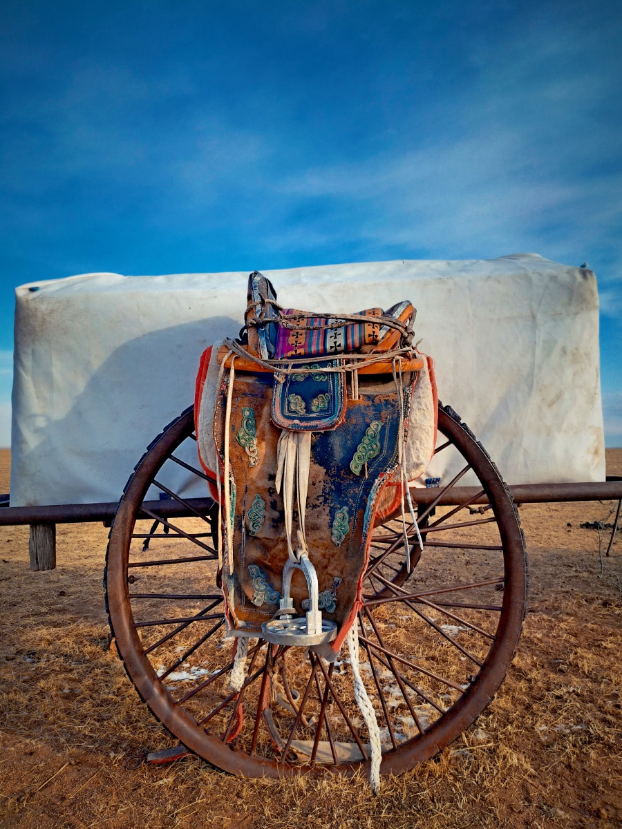 algo(algodon是什么面料)